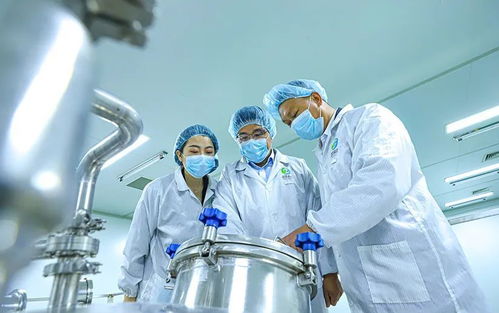 科技賦能張掖農特產品提質增效，植物工廠引領農業現代化