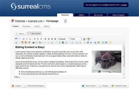國外10個輕量級cms網(wǎng)站內容管理系統(tǒng)